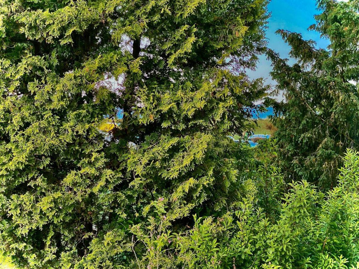Casa Raphael direkt am Scharbeutzer Strand Bagian luar foto